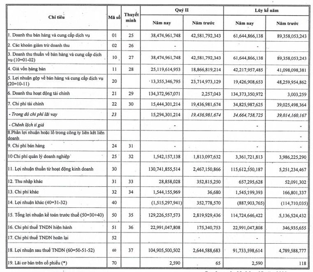 NED báo lãi quý 2 đạt 105 tỷ đồng cao gấp 40 lần cùng kỳ - Ảnh 3.