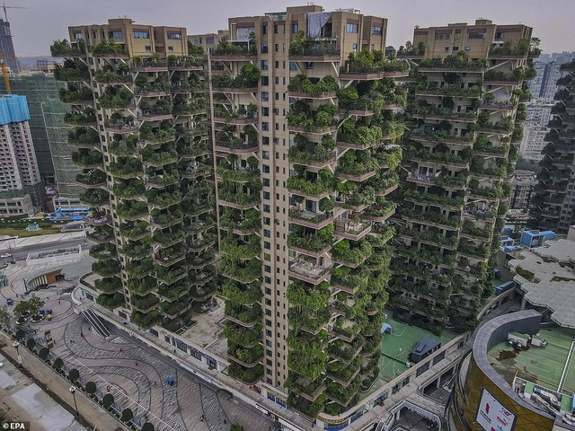 Trung Quốc tham vọng xây thiên đường sinh thái nhưng lại hóa thành phố ma vì… muỗi - Ảnh 7.