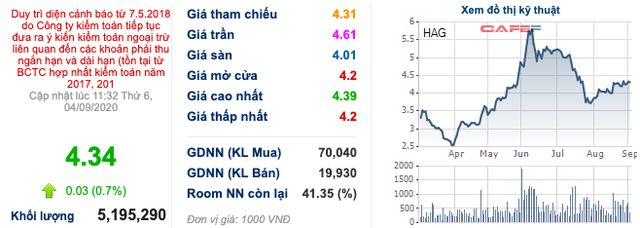 HAGL Agrico (HNG): Nửa đầu năm có lãi trở lại, cổ phiếu thoát khỏi diện kiểm soát từ ngày 7/9 - Ảnh 3.