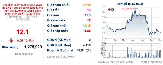 HAGL Agrico (HNG): Nửa đầu năm có lãi trở lại, cổ phiếu thoát khỏi diện kiểm soát từ ngày 7/9 - Ảnh 2.