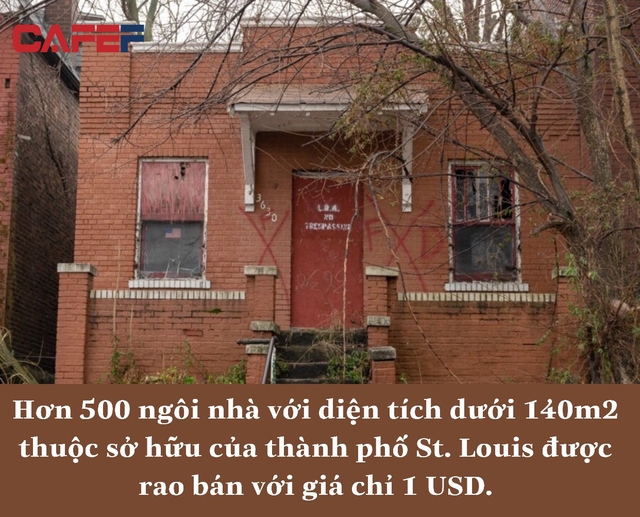 Nghịch lý những căn nhà rẻ như cho ở các đất nước có BĐS đắt đỏ trên thế giới: Có căn giá chỉ bằng một tách cafe, vì sao? - Ảnh 2.