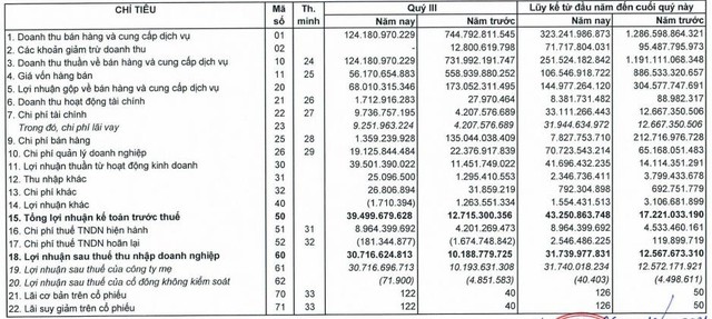 Cắt giảm được 99% chi phí bán hàng, Đầu tư LDG báo lãi quý 3 gấp 3 lần cùng kỳ - Ảnh 1.