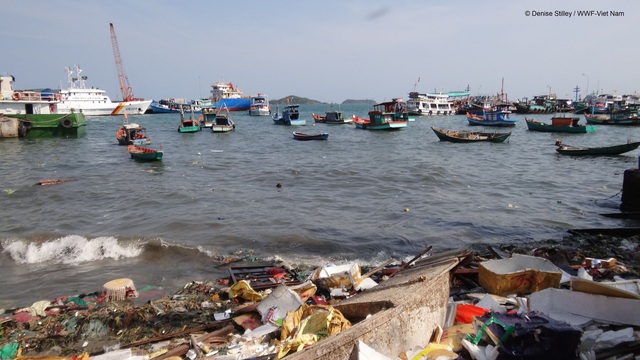 4 việc bạn có thể làm ngay hôm nay để giảm rác thải nhựa, giúp môi trường thiên nhiên thêm trong sạch  - Ảnh 2.