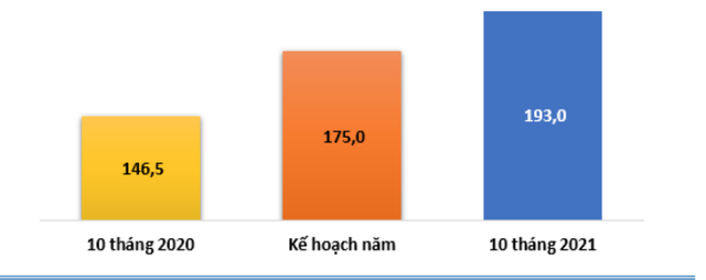 Dệt may TNG: Lợi nhuận 10 tháng vượt kế hoạch năm, tăng trưởng 39% so với cùng kỳ năm trước - Ảnh 1.