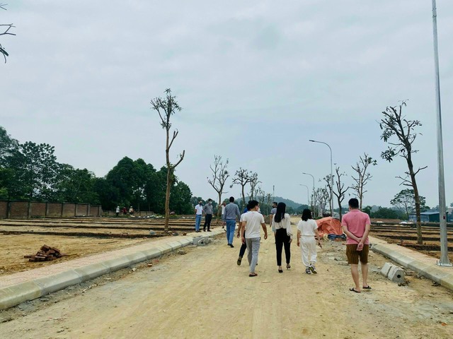 ‘Nghề tay trái hái ra tiền’ của cô giáo tiểu học, tiền hoa hồng 1 ngày bằng cả năm đi dạy - Ảnh 1.