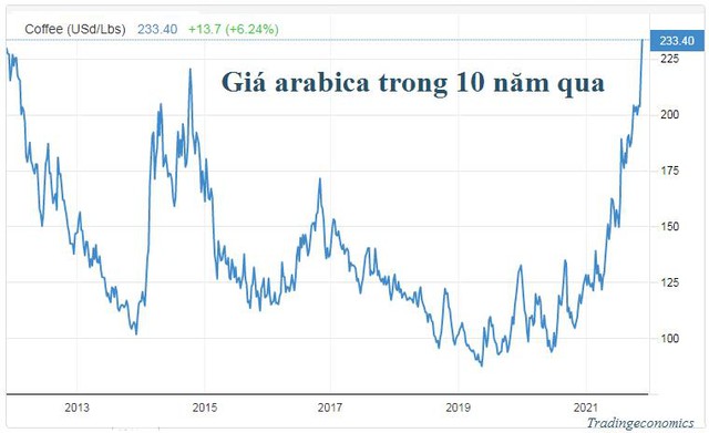 Giá cà phê đã cao nhất 10 năm và vẫn có thể tăng tiếp do nguồn cung cạn kiệt - Ảnh 1.