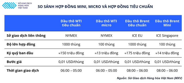 Lần đầu tiên nhà đầu tư Việt Nam có thể giao dịch hợp đồng năng lượng mini và micro - Ảnh 1.