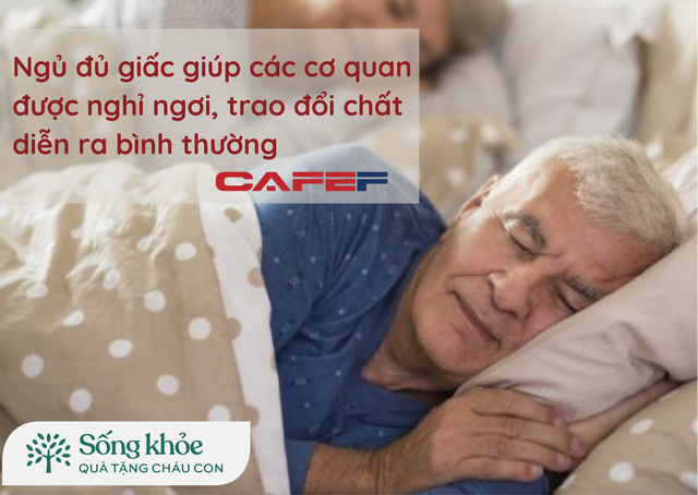 Đã tìm ra đơn thuốc trường sinh bất lão, chỉ cần “sắc đủ’’ 4 liều này, sống thọ thêm 20 năm cũng không thành vấn đề - Ảnh 2.