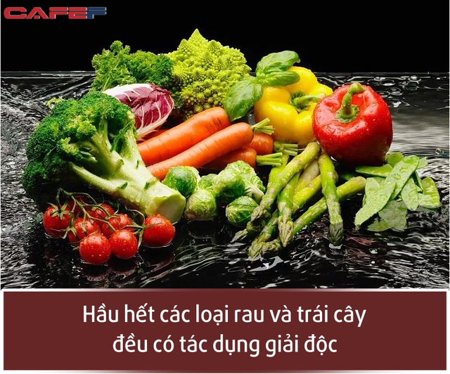 7 loại độc tố ngầm đang âm thầm hủy hoại cơ thể của bạn, áp dụng ngay cách giải độc hữu hiệu như tẩy rửa cả mạch máu - Ảnh 1.