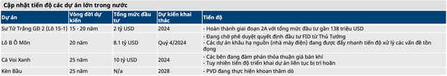 Ngành dầu khí trong năm 2022: Triển vọng cổ phiếu khi giá dầu hướng về 100 USD/thùng - Ảnh 2.