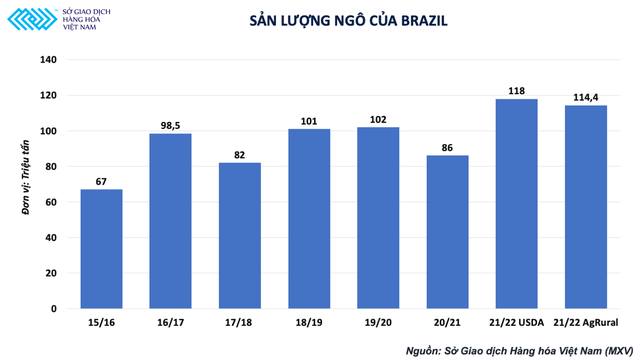 Ngành chăn nuôi nội địa vẫn ở thế khó vào quý I/2022 - Ảnh 2.