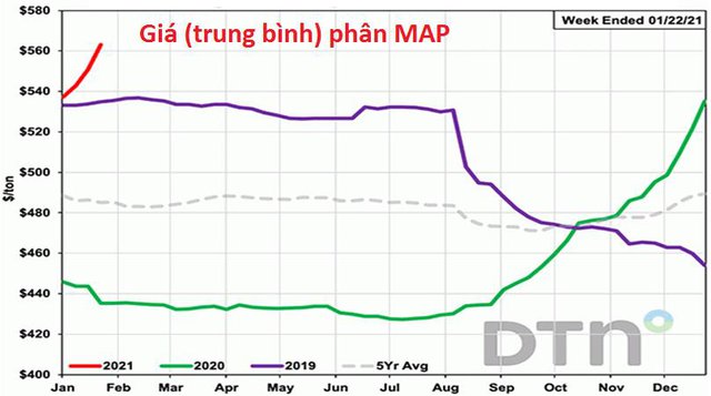 Triển vọng thị trường phân bón thế giới năm 2021 sẽ sôi động cùng nhịp thị trường ngũ cốc - Ảnh 2.