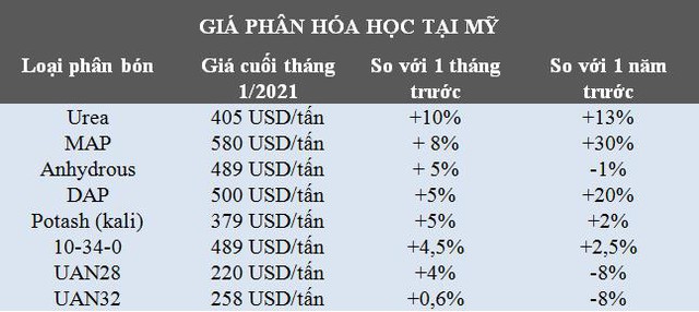 Triển vọng thị trường phân bón thế giới năm 2021 sẽ sôi động cùng nhịp thị trường ngũ cốc - Ảnh 3.