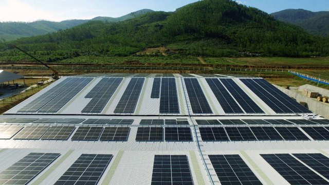 Đầu tư hệ thống điện mặt trời tại toàn bộ các trang trại, Vinamilk đẩy mạnh năng lượng bền vững - Ảnh 5.