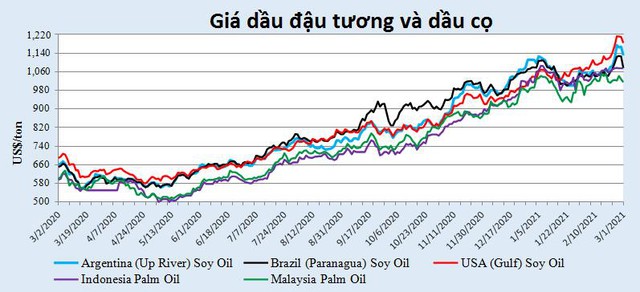 Giá dầu thực vật có thể đã đạt “đỉnh” nhưng khả năng giá giảm nhanh khó xảy ra - Ảnh 1.