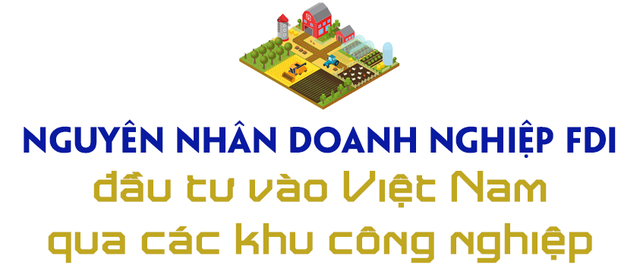 Nguyên Chủ tịch EuroCham giải mã hiện tượng doanh nghiệp ngoại đầu tư vào Việt Nam thông qua khu công nghiệp - Ảnh 5.