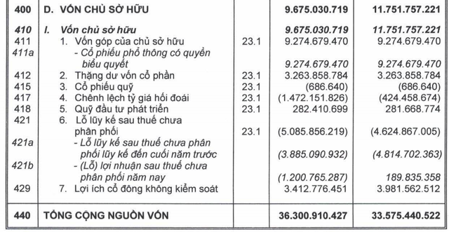 HAGL vẫn tăng kịch trần dù lỗ lũy kế sau kiểm toán tăng thêm hơn 1.200 tỷ đồng - Ảnh 3.