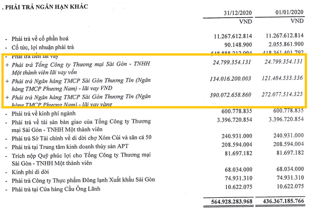 Một công ty lỗ âm vốn chủ 849 tỷ đồng nợ Sacombank hơn 950 tỷ đồng - Ảnh 2.