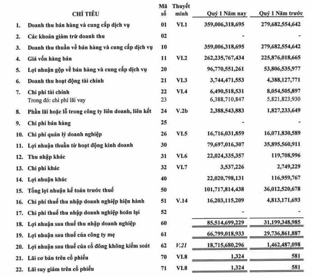 Ngành vận tải biển sôi động, HAH báo lợi nhuận quý 1/2021 tăng 174% so với cùng kỳ - Ảnh 1.