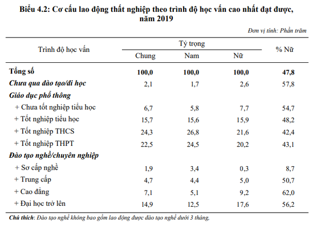 Vì sao lao động chưa đi học hoặc chỉ học sơ cấp ít thất nghiệp, còn trình độ đại học trở lên lại thất nghiệp nhiều? - Ảnh 1.