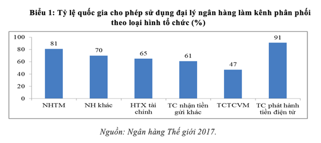 Hoạt động đại lý ngân hàng – tăng khả năng tiếp cận dịch vụ tài chính - Ảnh 1.