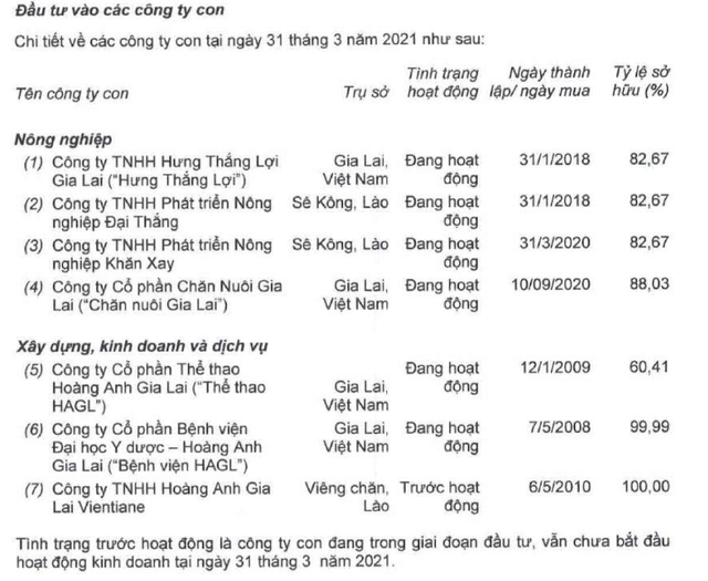 HAGL là công ty gì sau khi bán HNG cho Thaco?  - Ảnh 1.