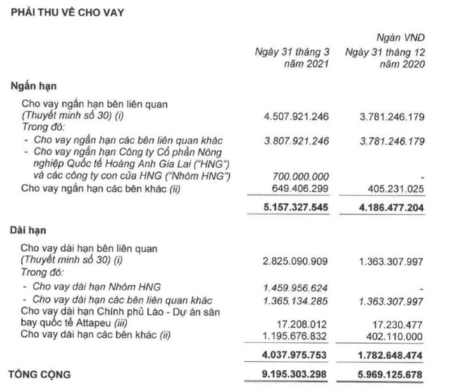 HAGL là công ty gì sau khi bán HNG cho Thaco?  - Ảnh 3.