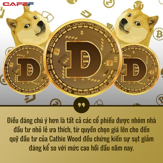 Bloomberg: Dogecoin khiến các loại tài sản như vàng hay cổ phiếu trở nên lỗi thời - Ảnh 2.