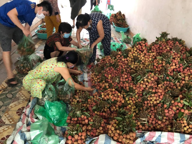 Người phụ nữ Hà Nội mua 2 tấn vải Bắc Giang để phát miễn phí, không nhận tiền ủng hộ mà hướng dẫn mọi người đóng góp cho Quỹ vaccine phòng Covid-19 - Ảnh 6.