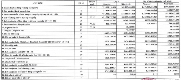 PSE: Nửa đầu năm báo lãi 17,5 tỷ đồng, cao gấp 2,2 lần chỉ tiêu kế hoạch cả năm - Ảnh 1.