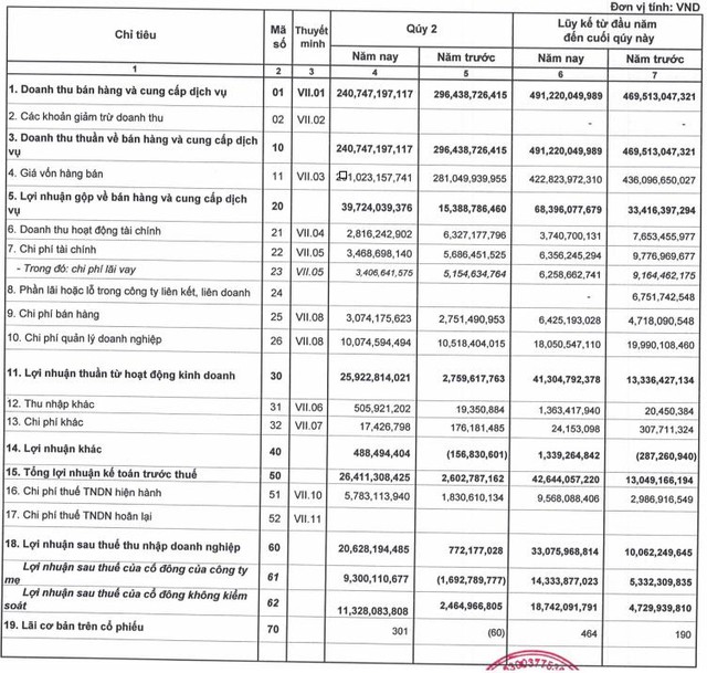 Vidon Corp (VID) báo lãi 6 tháng đầu năm tăng trưởng gấp 3,3 lần cùng kỳ 2020 - Ảnh 1.