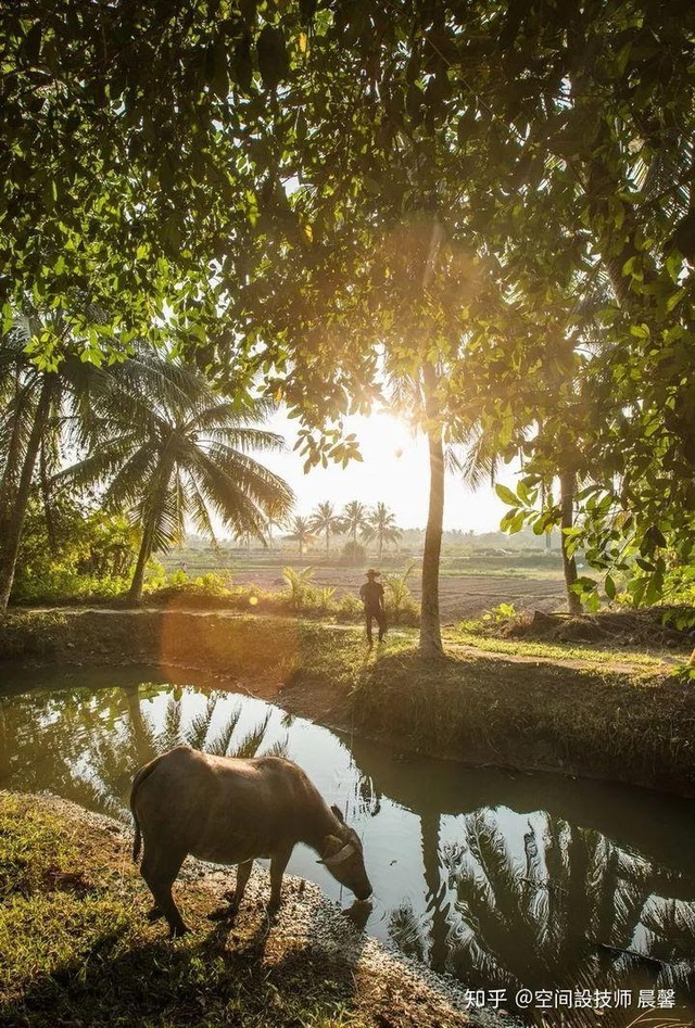 Giám đốc ngân hàng từ chức, xây homestay với kiến trúc độc đáo, giành 3 giải thưởng quốc tế: Hạnh phúc, bình yên là sự lựa chọn, không phải sự sắp đặt - Ảnh 2.