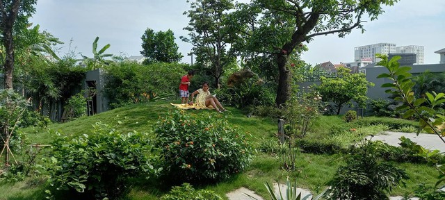 Sự nghiệp đang lên, đôi vợ chồng quyết bỏ phố về quê vì con cái, xây biệt thự có vườn rộng như công viên, ngày ngày trồng rau, thả cá và nuôi gà - Ảnh 7.