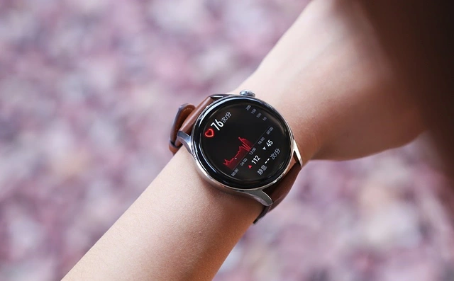 Smartwatch cao cấp nhất của Huawei vừa về Việt Nam, giá 13 triệu đồng - Ảnh 2.