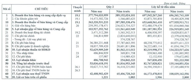 Ảnh hưởng từ dịch bệnh, lợi nhuận quý 2/2021 của Domesco (DMC) giảm 35% so với cùng kỳ năm trước - Ảnh 1.