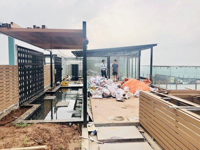 Hồ sen trên tầng 30 của penthouse 300m2: Anh chồng lần đầu giải đáp chuyện chống thấm, tiết lộ có hoa thơm cho vợ sống ảo lại còn thêm cua đồng để nấu canh - Ảnh 3.