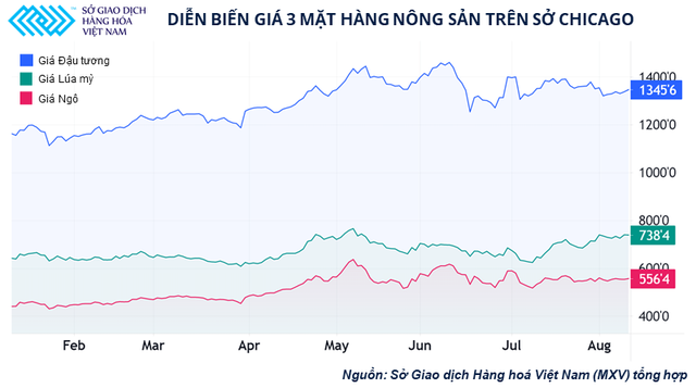 Các nhà đầu tư nông sản đang kỳ vọng điều gì trước báo cáo quan trọng của Bộ nông nghiệp Mỹ? - Ảnh 1.