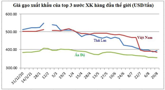 Xuất khẩu gạo Châu Á có tín hiệu hồi phục - Ảnh 1.