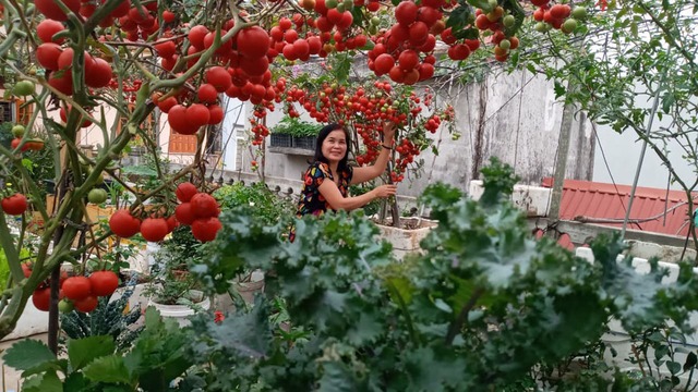 Trào lưu second-home trên nóc sân thượng vạn người mê thời hạn chế đi chợ - Ảnh 9.