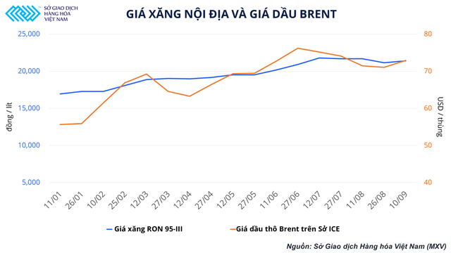 Giá xăng biến động mạnh và bài toán bảo hiểm rủi ro đối với doanh nghiệp Việt Nam - Ảnh 2.