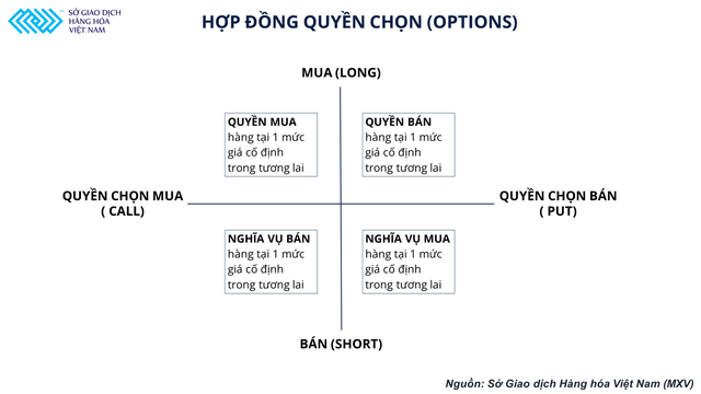 Giá xăng biến động mạnh và bài toán bảo hiểm rủi ro đối với doanh nghiệp Việt Nam - Ảnh 3.