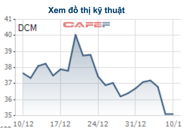 Đạm Cà Mau (DCM) giảm sàn bất chấp công bố lãi kỷ lục - Ảnh 1.