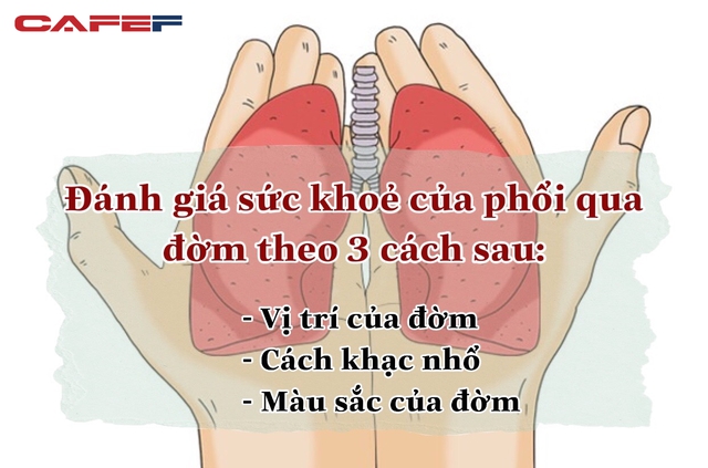 Nhìn đờm đoán bệnh: 5 màu sắc của đờm tiết lộ phổi lâm nguy, biết sớm khám ngay thì tuổi thọ được kéo dài, chẳng sợ tử thần gõ cửa - Ảnh 1.