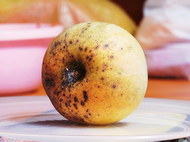 4 loại trái cây không sử dụng đúng cách thì trở thành “vua” ung thư, 3/4 loại được nhiều người yêu thích ăn mỗi ngày - Ảnh 2.