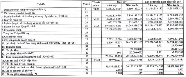 EVN International (EIC) báo lãi năm 2021 cao gấp hơn 3 lần kế hoạch năm - Ảnh 1.