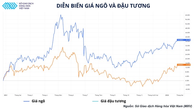 Tấm khiên nào cho doanh nghiệp Việt giữa lúc nguyên liệu thức ăn chăn nuôi đua nhau lập đỉnh? - Ảnh 1.