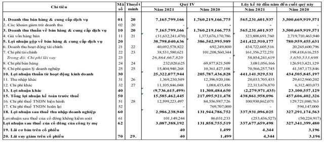 Năm Bảy Bảy (NBB): Quý 4 lãi vỏn vẹn 3 tỷ đồng, giảm 98% so với cùng kỳ 2020 - Ảnh 1.