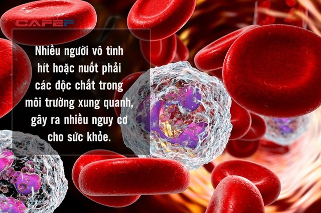 (Bài Tết) 11 loại cây đứng đầu bảng vàng hấp thụ chất độc, NASA khuyên nhà nào cũng nên có ít nhất 1 cây, đảm bảo sức khỏe hơn hẳn - Ảnh 1.