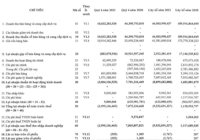 DZM lỗ tiếp quý 4/2021 - Ảnh 1.