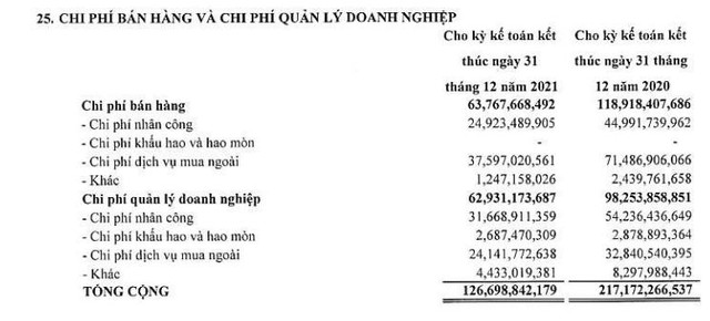 Vinasun lỗ lũy kế 471 tỷ đồng, số lượng nhiên viên rơi rụng chỉ còn 1/10 so với thời đỉnh cao - Ảnh 2.